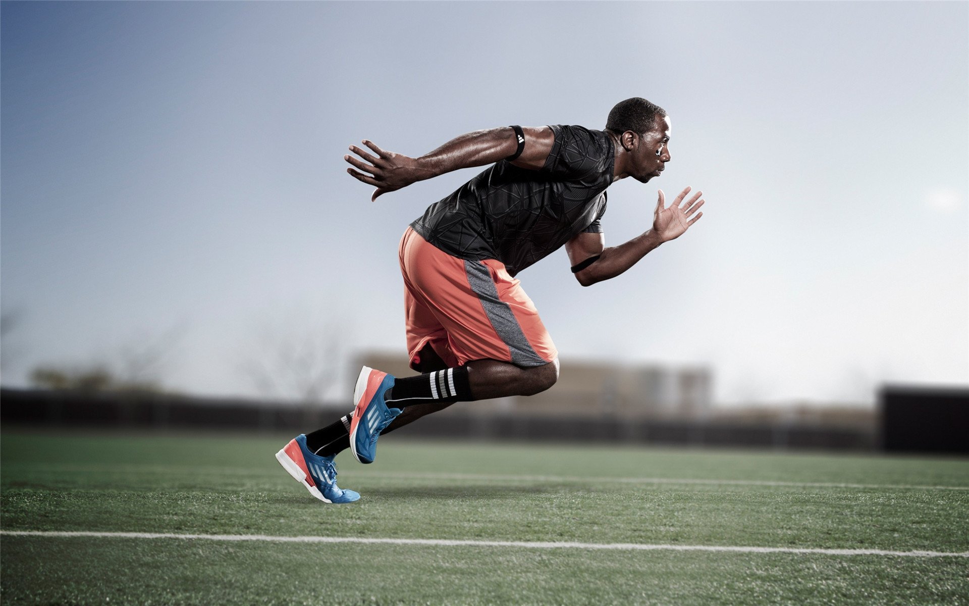 APEX英雄 线上赛观赛人数创新高,apex比赛录像